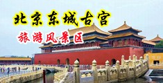奷叫插抽插在污黑鸡巴中国北京-东城古宫旅游风景区
